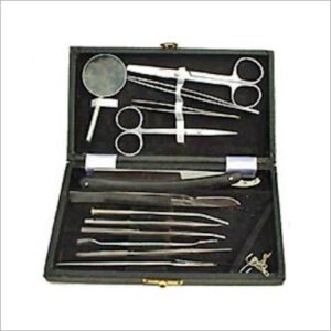 Dissecting Set