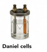 Daniel Cells