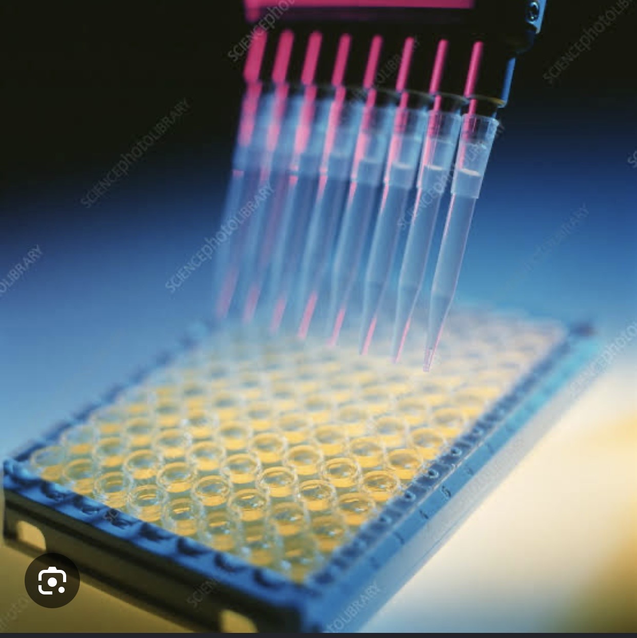 ELISA Kits