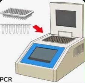 PCR Thermocyclors