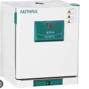 Thermostatic Incubator