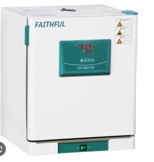 Thermostatic Incubator